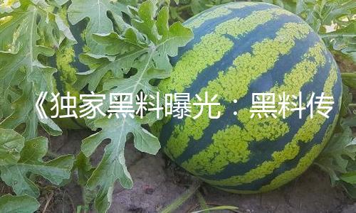 《独家黑料曝光：黑料传送门线路一揭秘，最新回家线路助你轻松吃瓜！》