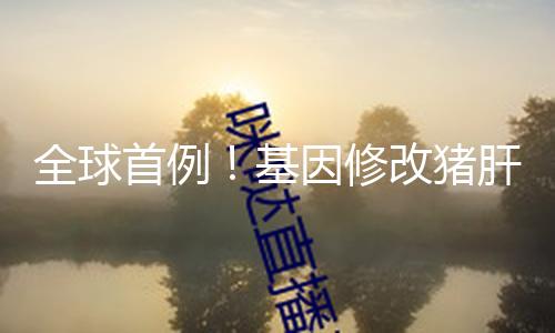全球首例！基因修改猪肝脏被移植到人体 — 新京报