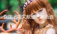 我國三項文獻遺產新當選《國際回憶名錄》