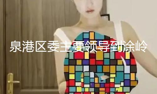 泉港区委主要领导到涂岭镇、界山镇调研一季度“开门红”及2025年重点工作