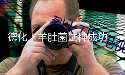德化：羊肚菌试种成功 撑起乡民 “致富伞”