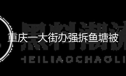 重庆一大街办强拆鱼塘被判赔380万 两边已就补偿事宜达到共同 — 新京报