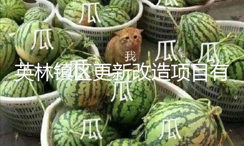英林镇区更新改造项目有序推进