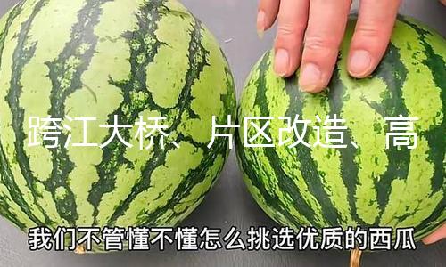 跨江大桥、片区改造、高端酒店等！鲤城公布210个重点项目！